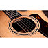 314ce Studio Natural + Housse Taylor
