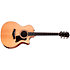 314ce Studio Natural + Housse Taylor