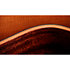314ce Studio Shaded Edgeburst + Housse Taylor