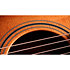 314ce Studio Shaded Edgeburst + Housse Taylor