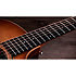 314ce Studio Shaded Edgeburst + Housse Taylor