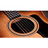 314ce Studio Shaded Edgeburst + Housse Taylor