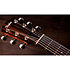 314ce Studio Shaded Edgeburst + Housse Taylor