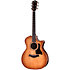 314ce Studio Shaded Edgeburst + Housse Taylor