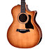 314ce Studio Shaded Edgeburst + Housse Taylor