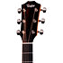 314ce Studio Shaded Edgeburst + Housse Taylor