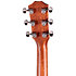 314ce Studio Shaded Edgeburst + Housse Taylor