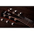 414ce Natural + Etui Taylor