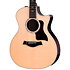 414ce Natural + Etui Taylor