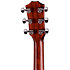 414ce Natural + Etui Taylor