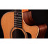 414ce Studio Natural + Housse Taylor