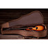 414ce Studio Shaded Edgeburst + Housse Taylor