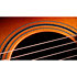 414ce Studio Shaded Edgeburst + Housse Taylor