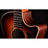 414ce Studio Shaded Edgeburst + Housse Taylor