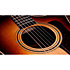 414ce Studio Shaded Edgeburst + Housse Taylor