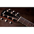 414ce Studio Shaded Edgeburst + Housse Taylor