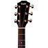 414ce Studio Shaded Edgeburst + Housse Taylor