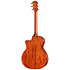 Legacy 514ce Limited Edition + Etui Taylor