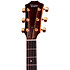 Legacy 514ce Limited Edition + Etui Taylor