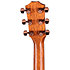 724ce + Etui Taylor