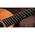 Legacy 714ce Limited Edition + Etui Taylor
