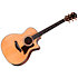 Legacy 714ce Limited Edition + Etui Taylor