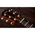 Legacy 714ce Limited Edition + Etui Taylor