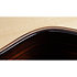 Builder's Edition 814ce + Etui Taylor