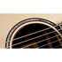 Builder's Edition 814ce + Etui Taylor