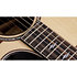Builder's Edition 814ce + Etui Taylor