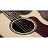 Builder's Edition 814ce + Etui Taylor