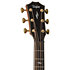 Builder's Edition 814ce + Etui Taylor
