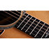 Gold Label 814e + Etui Taylor