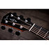 Gold Label 814e + Etui Taylor
