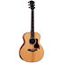 Gold Label 814e + Etui Taylor