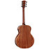 Gold Label 814e + Etui Taylor
