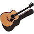 Gold Label 814e Koa + Etui Taylor