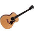 Gold Label 814e Koa + Etui Taylor