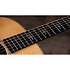 Gold Label 814e Koa + Etui Taylor