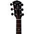 Gold Label 814e Koa + Etui Taylor