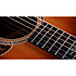 Gold Label 814e Koa Sunburst + Etui Taylor
