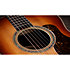 Gold Label 814e Koa Sunburst + Etui Taylor