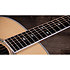 Legacy 810e Limited Edition + Etui Taylor