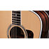 Legacy 810e Limited Edition + Etui Taylor