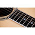Legacy 815e Limited Edition + Etui Taylor