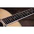 Legacy 815e Limited Edition + Etui Taylor