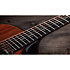 Builder's Edition 914ce + Etui Taylor