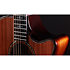 Builder's Edition 914ce + Etui Taylor