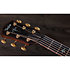 Builder's Edition 914ce + Etui Taylor