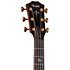 Builder's Edition 914ce + Etui Taylor